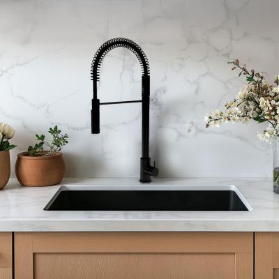 Waterevolution Flow półprofesjonalna bateria kuchenna, matowa czerń, z kolumną i sprężyną T157PR