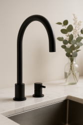 Waterevolution Flow 2-otworowa bateria kuchenna matowa czarna T151PR