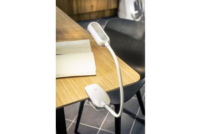 Dekoracyjna lampa biurkowa FROGY 5W 300lm. AC220-240V 4000K bateria 1200mAh Ra>80 ściemnialna biała. 1208962482