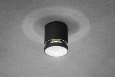 Dekoracyjna oprawa sufitowa RIVEN alum 102x120 IP54 MAX.35W okrągła grafit. 1208963984