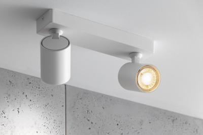 Dekoracyjna oprawa sufitowa SANTO aluminium IP20 max. 20W*2 podwójna okrągła biała. 1208963998