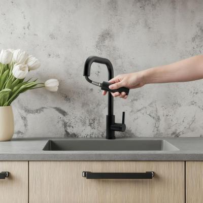 Pure.Sink Elite Steel Crystal-S bateria kuchenna Matowa Czarna z wyciąganą wylewką PS8050-10