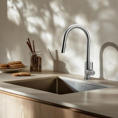 Pure.Sink Elite Steel Stream-S kran kuchenny ze stali nierdzewnej z wyciąganą wylewką PS8045-02